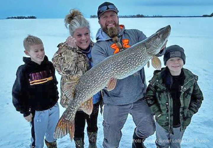 image of huge northern pike caught on Lake of the Woods