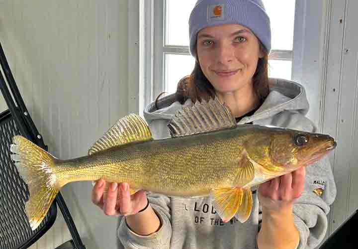 image of woman holding big walleye caught on Lake of the Woods