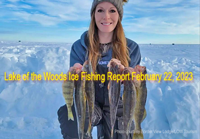 image of woman holding nice walleyes she caught on Lake of the Woods