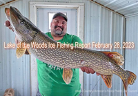 image of ice fisherman holding huge northern pike caught on Lake of the Woods
