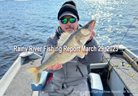 image links to fishing report from the Rainy River