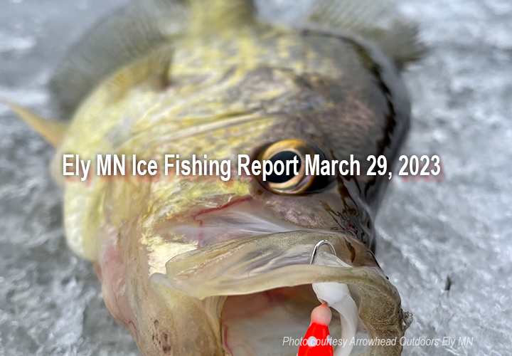 image links to Ely Minnesota area fishing report