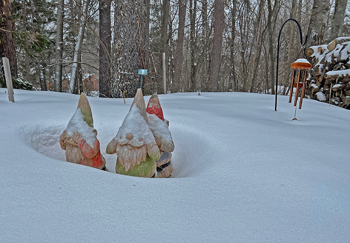 image of garden fairies covered with fresh snow.