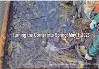 image links to fishing report by Jeff Sundin 