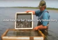 image of MN-FISH Board Member Tom Neustrom
