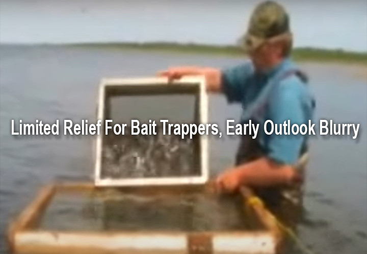 image links to article about minnow shortages in Minnesota