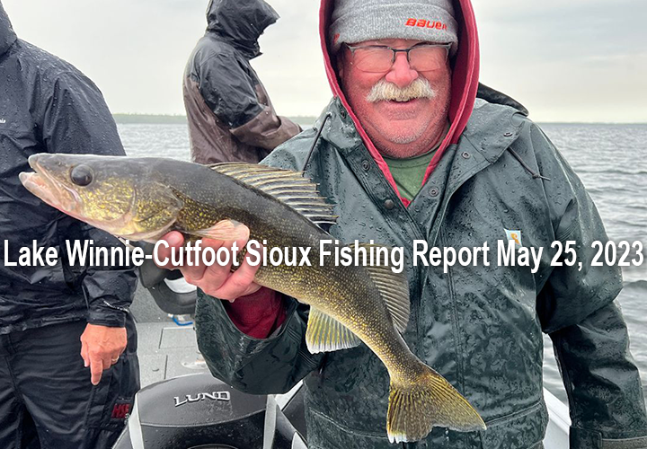 image links to walleye fishing report Lake Winnibigoshish