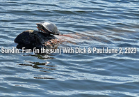 image of painted turtle sitting in the warm sun