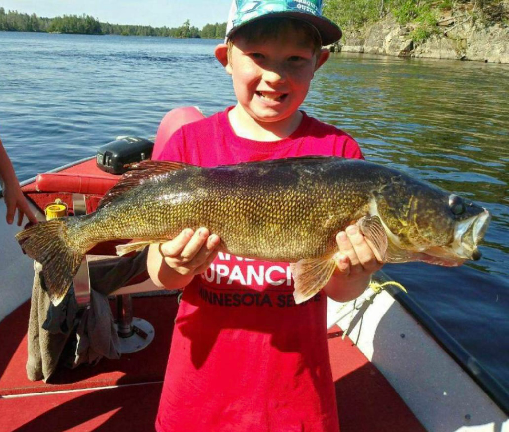 image of young boy holding large walleye