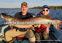 image of cooler filled with walleyes