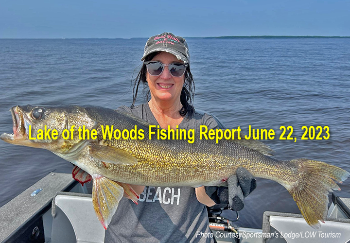image of woman holding a mobster walleye that she caught on Lake of the Woods