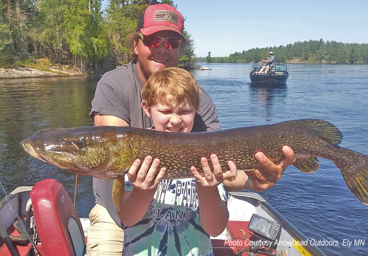 VIDEO: Giant muskie, keeper walleye caught on same lure at same time -  Duluth News Tribune