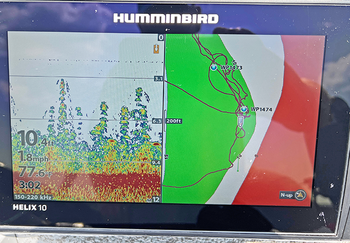 image showing vegetation on the screen of fishing graph