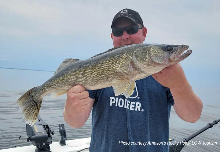 image of angler holding big walleye on lake of the woods