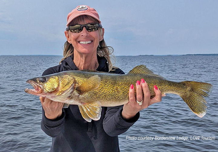 image of woman holding big walleye she caught on Border View Lodge charter fishing trip