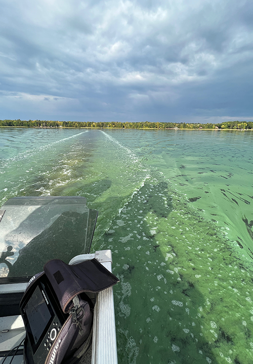 image of heavy algae bloom on the surface of Bowstring Lake