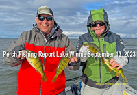 image links to fishing report by Jeff Sundin about catching perch on Lake Winnie
