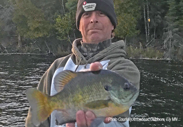 image of angler holding big sunfish caught near Ely Minnesota