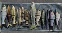 image links to fishing article about bass fishing using glide baits