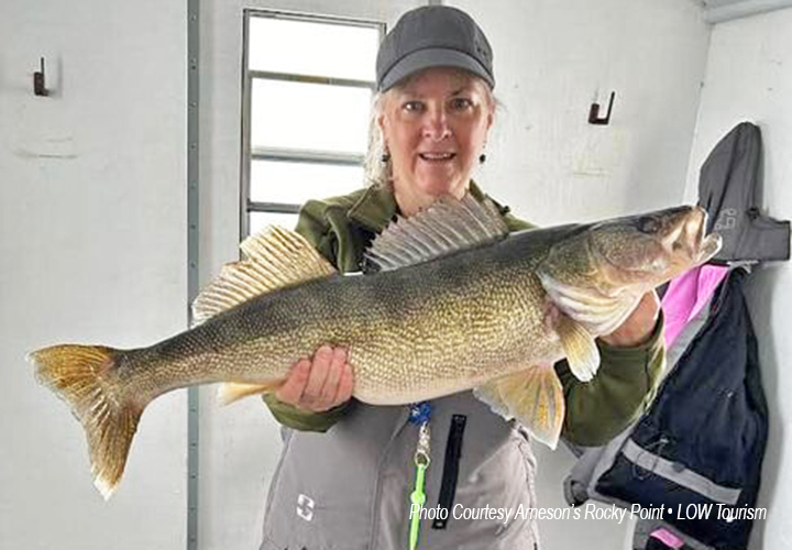 image of woman holding monster walleye caught on Lake of the Woods at Arneson's Rocky Point Resort