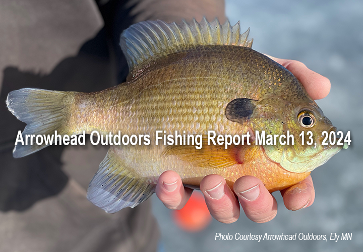 image links to Arrowhead Outdoors fishing report from the Ely MN region