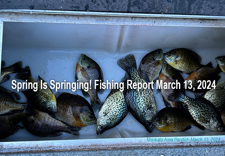 image links to fishing report fro the Mankato Minnesota region