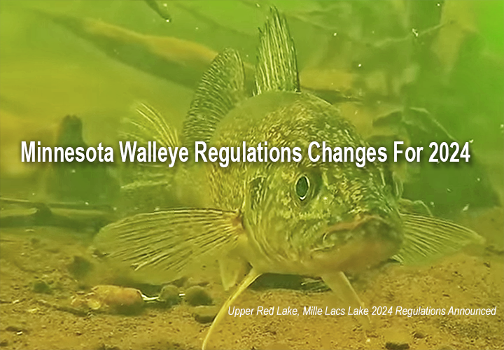 image links to article about new walleye regulations announced for Minnesota Lakes