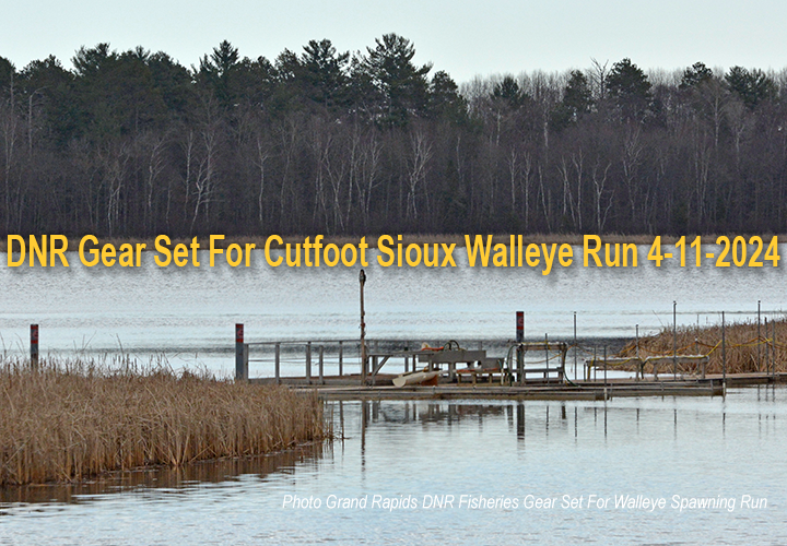 image of walleye traps set up at the Little Cutfoot Sioux egg take operation