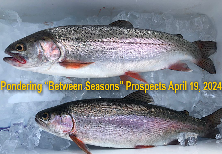 image links to article by Jeff Sundin about stream trout fishing in north central minnesota