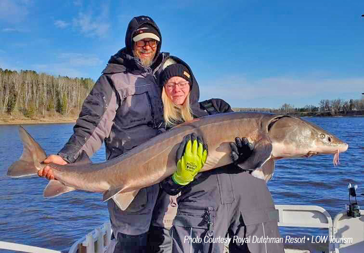 image of anglers holding a huge sturgeon caught on the Rainy River