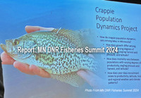image of slide presentation about Minnesota's Crappie Population Dynamics Report