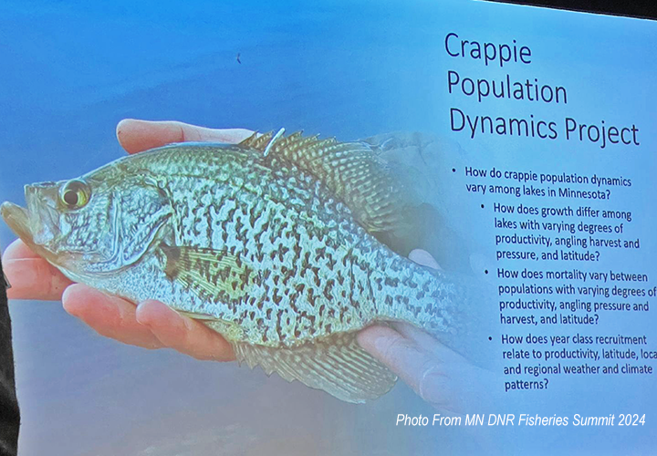 image of slide presentation about Minnesota's Crappie Population Dynamics Report
