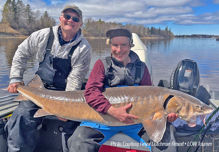 image of rainy river anglers holding huge sturgeon 