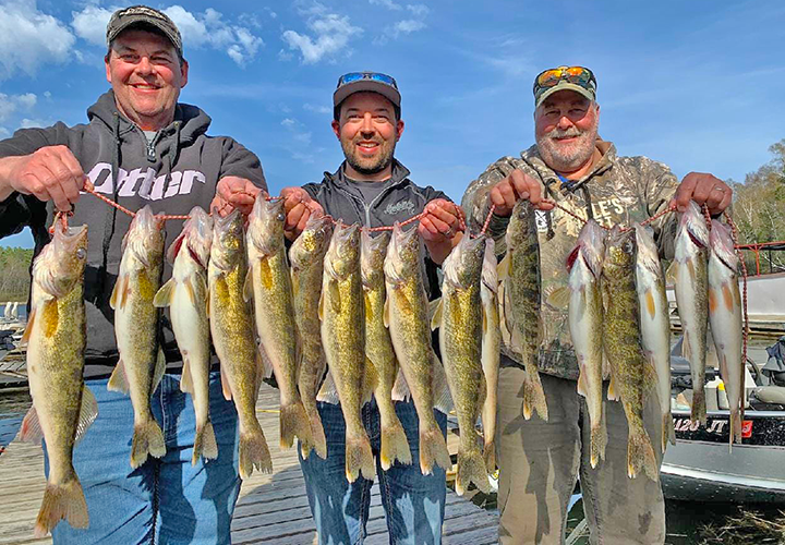 image of Carey Brown and friends with stringer full of nice walleyes from Lake Winnie