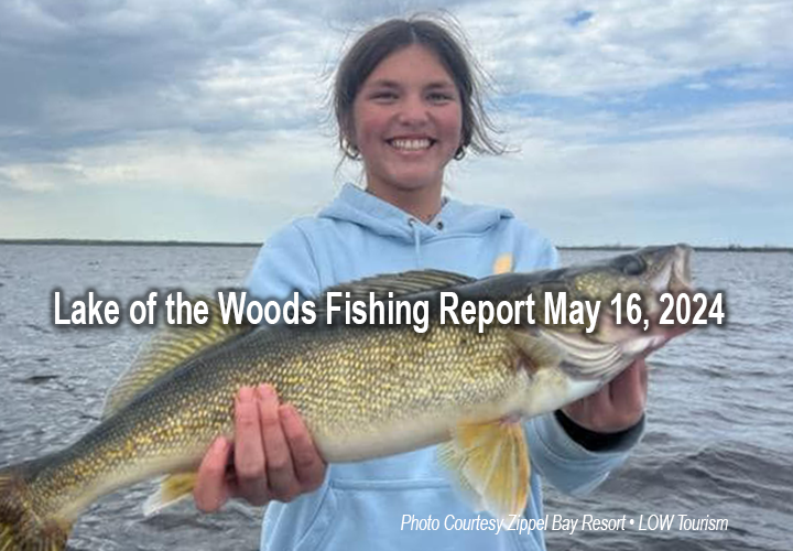 image of young woman holding huge walleye caught near Zippel Bay on Lake of the Woods