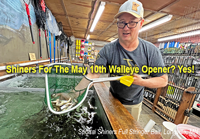 image links to fishing article about live bait supplies for the Minnesota Fishing opener