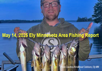 image links to walleye fishing report from the Ely MN region