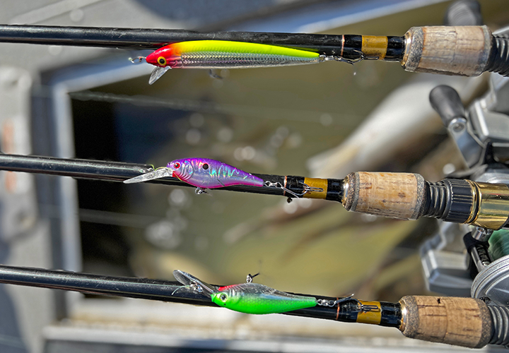 image of the crankbait selection jeff sundin used to catch walleyes on upper red lake