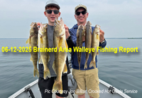 image of anglers holding string of walleyes 
