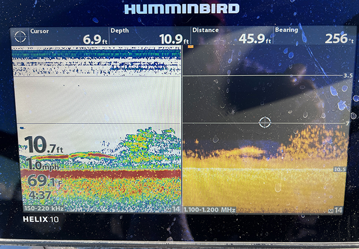 image of weeds and walleyes on the screen of fishing graph