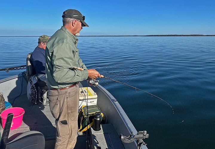 image of Dave McGregor catcbing walleye on Lake Winnie