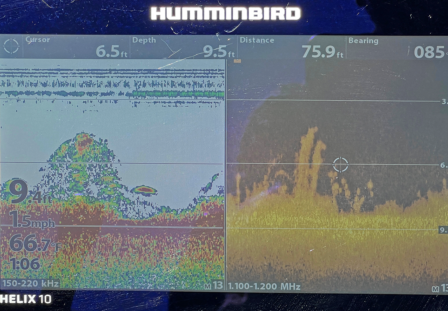 image of weeds and walleye on graph screen 