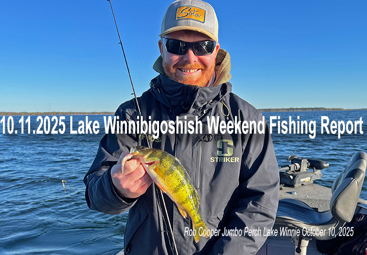 image links to lake winnie walleye and perch fishing report