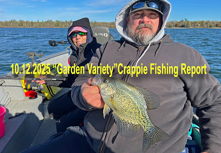 image links to Cass Lake area crappie fishing report by Jeff Sundin 