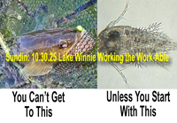 Lake Winnie Plan image links to fishing report about the Lake Winnie Workgroup