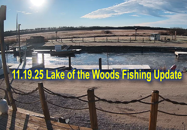 image links to fishing report from Lake of the Woods