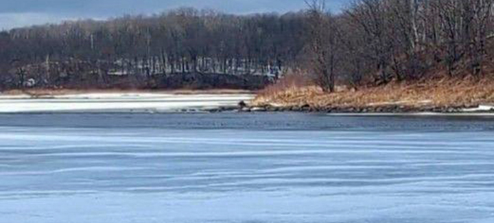 image of the Rainy River at Franz Jevne park near Baudette MN