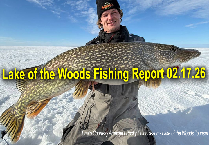 image links to ice fishing report from Lake of the Woods