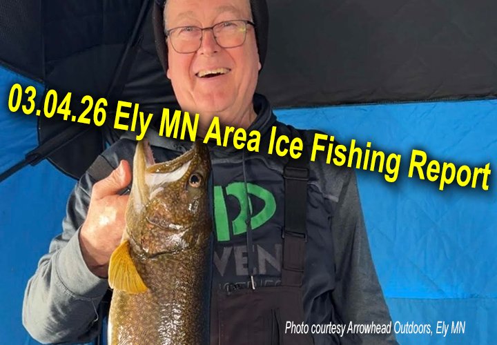 image of lake trout links to fishing report from Ely Minnesota 