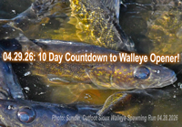 image links to fishing report by Jeff Sundin